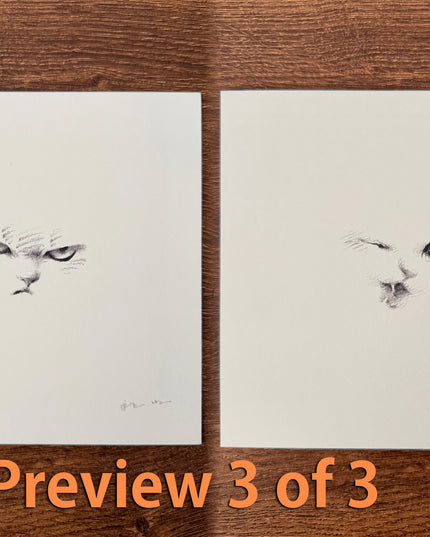 Kitten Expression Series (Set of 6 Illustrations)