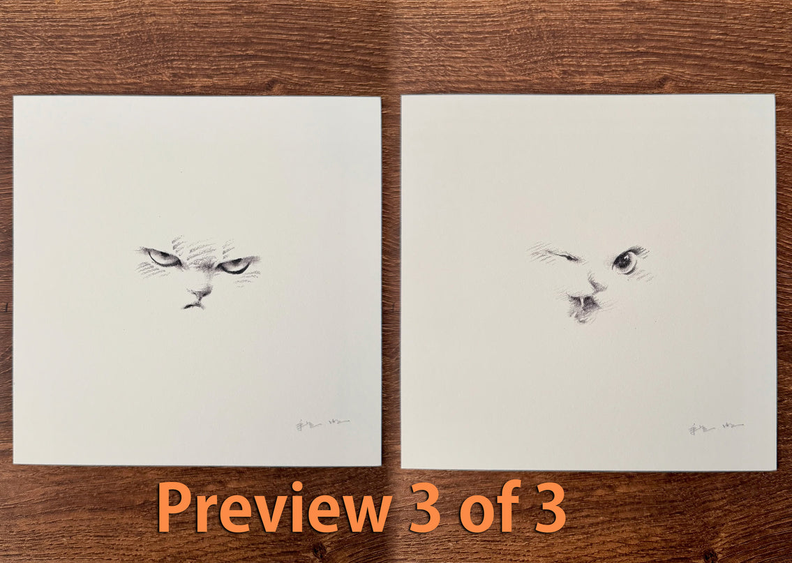 Kitten Expression Series (Set of 6 Illustrations)