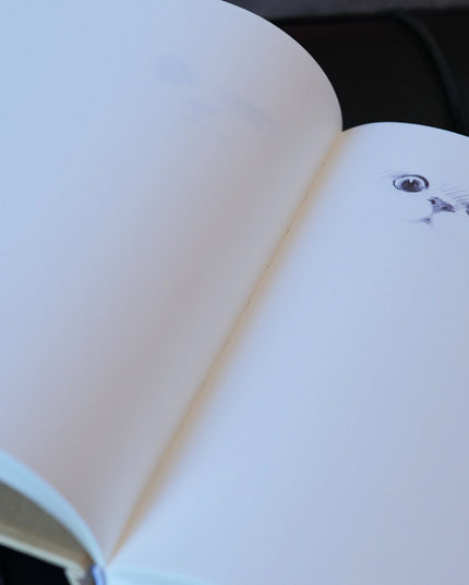 Sketching with ShouXin: A Practice Guide and Workbook