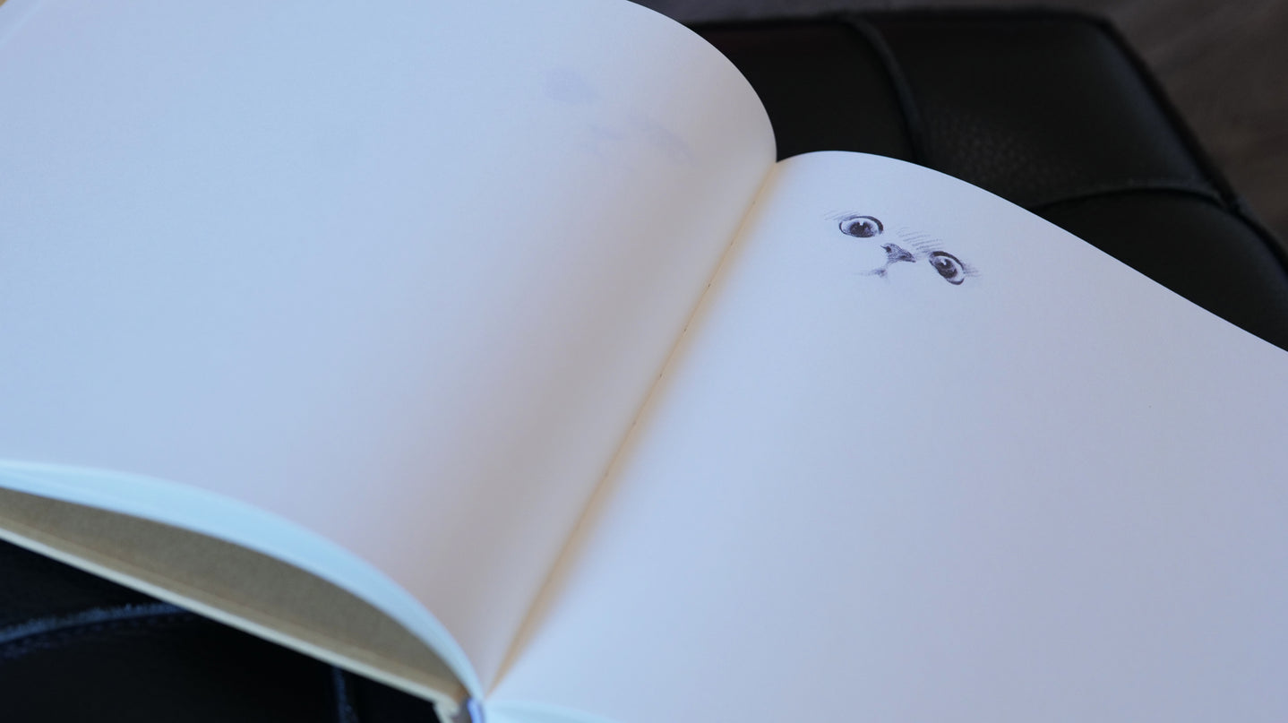 Sketching with ShouXin: A Practice Guide and Workbook