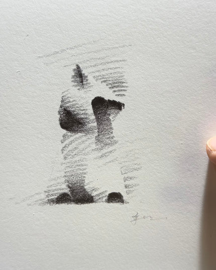 Siamese Cats Series (Set of 4 Illustrations)