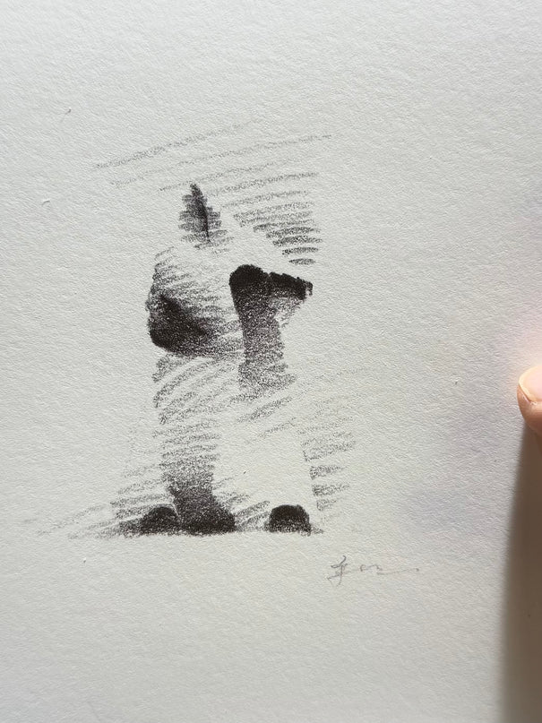 Siamese Cats Series (Set of 4 Illustrations)