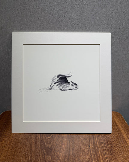 Dashing Kittens Series (Set of 4 Illustrations)