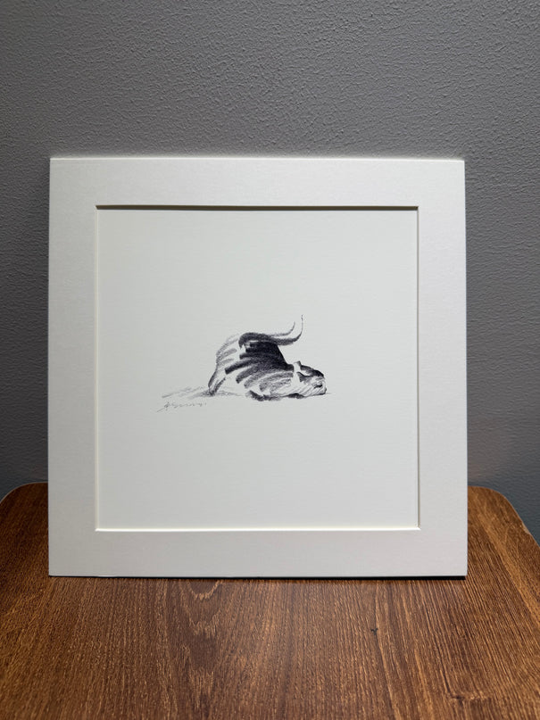 Dashing Kittens Series (Set of 4 Illustrations)