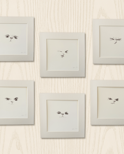 Kitten Expression Series (Set of 6 Illustrations)