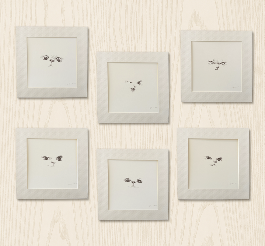 Kitten Expression Series (Set of 6 Illustrations)