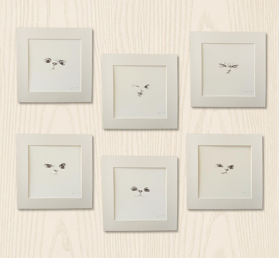 Kitten Expression Series (Set of 6 Illustrations)