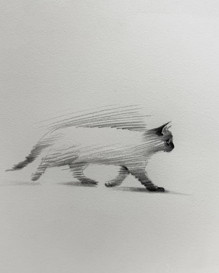 No. 017  "Strolling"