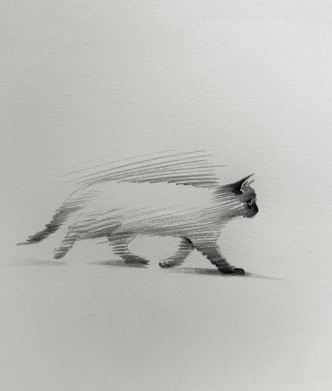 No. 017  "Strolling"