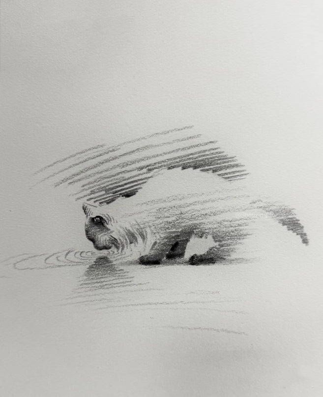 No. 018  "Drinking Cat"