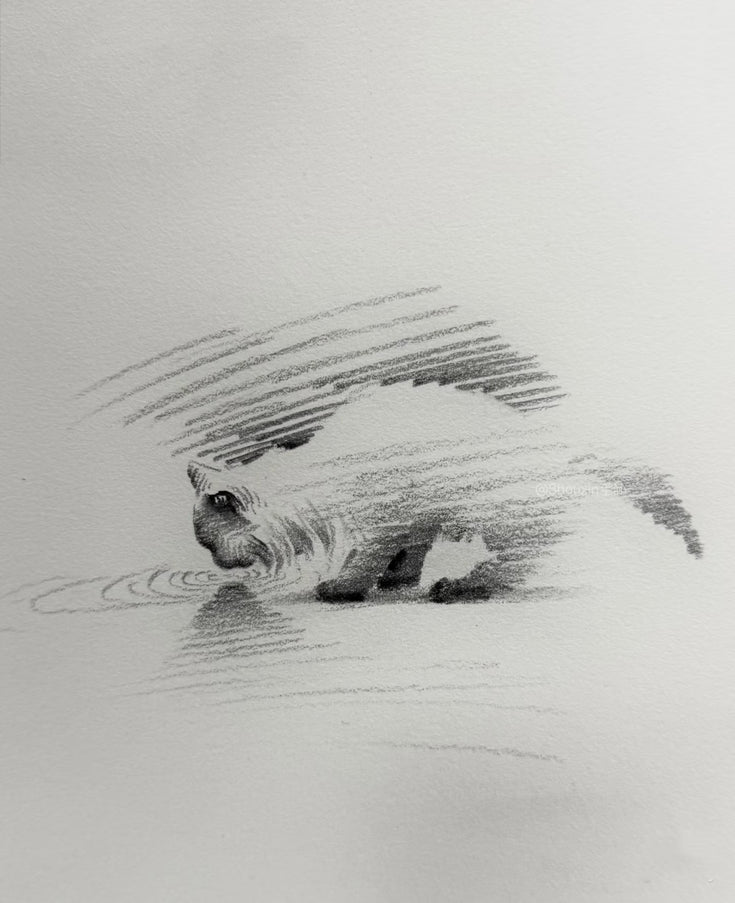 No. 018  "Drinking Cat"