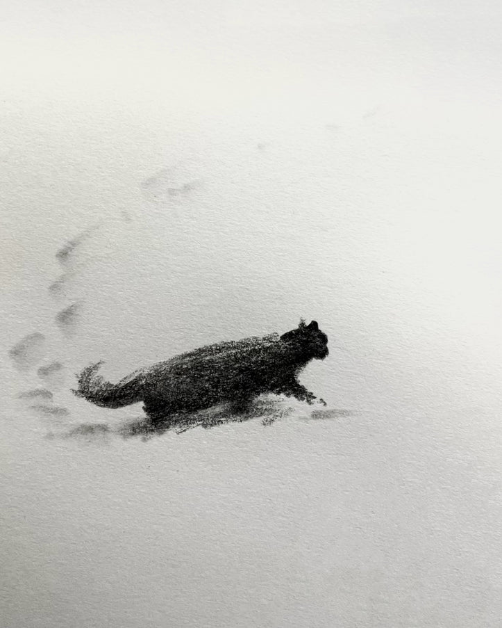 No. M006  "Snowy Kittens Series, No. I" (Masterpiece)