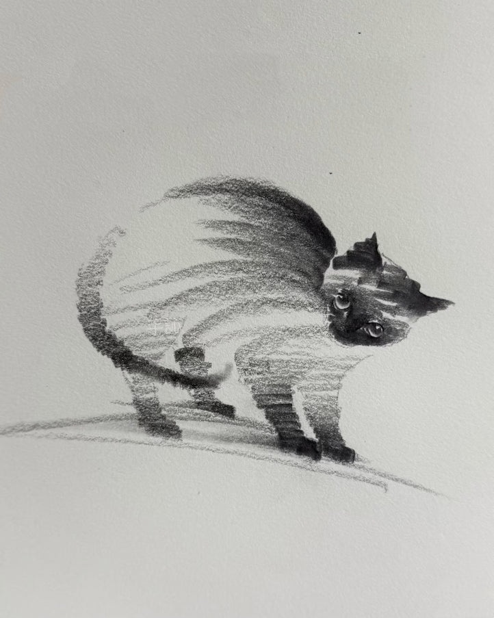 No. 019  "Black Cat Series, Warning"