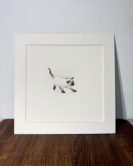 Siamese Cats Series (Set of 4 Illustrations)