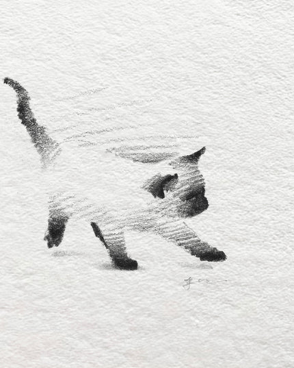 Siamese Cats Series (Set of 4 Illustrations)