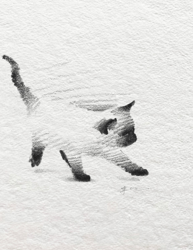 Siamese Cats Series (Set of 4 Illustrations)