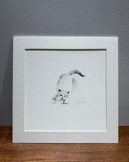 Leisurely Kittens Series (Set of 4 Illustrations)