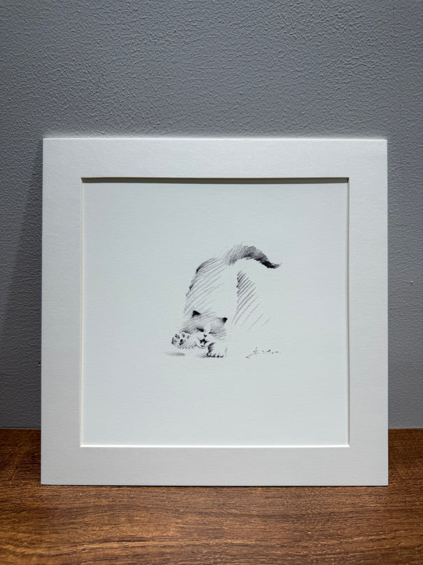 Leisurely Kittens Series (Set of 4 Illustrations)