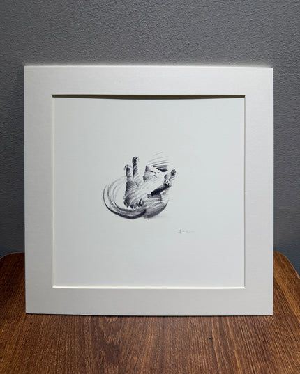 Dashing Kittens Series (Set of 4 Illustrations)