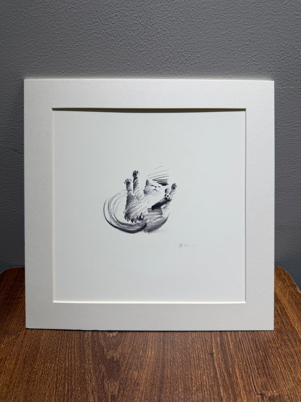 Dashing Kittens Series (Set of 4 Illustrations)