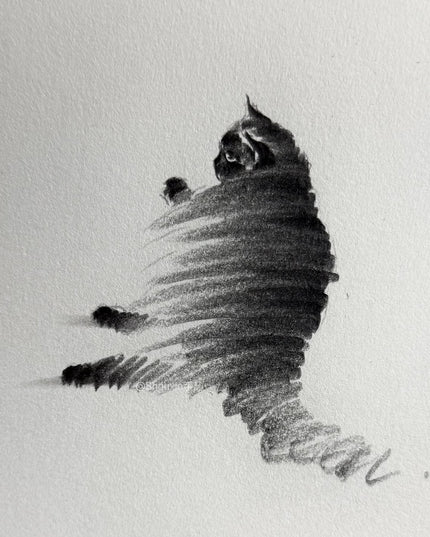 No. M005  "Black Cat Series – Contemplation" (Masterpiece)