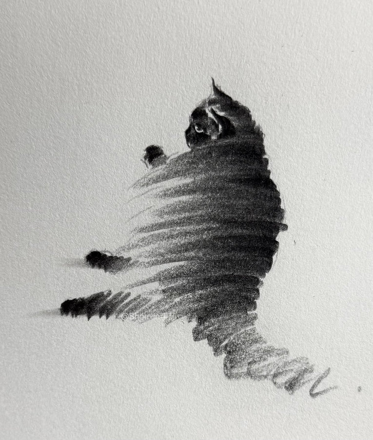 No. M005  "Black Cat Series – Contemplation" (Masterpiece)