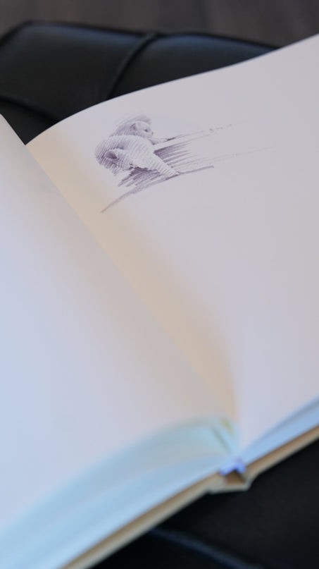 Sketching with ShouXin: A Practice Guide and Workbook