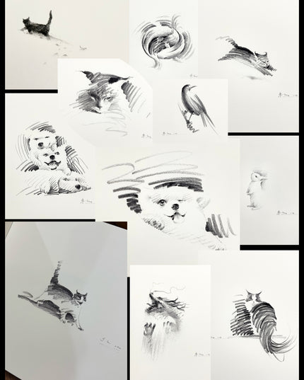 ShouXin's First Collector's Edition Art Book (Hand-Signed)