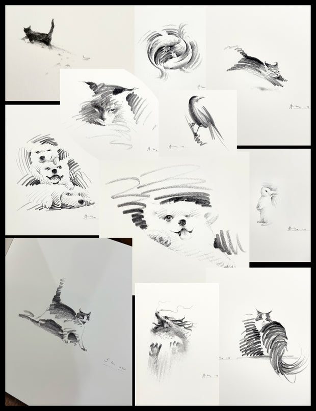 ShouXin's First Collector's Edition Art Book (Hand-Signed)