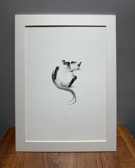Art Print – "Siamese Cat — Belly Up" (2510P007)