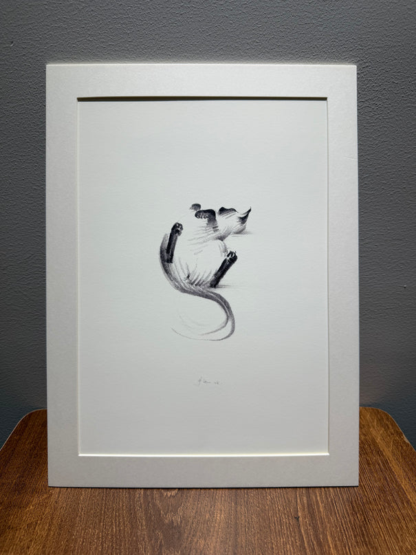 Art Print – "Siamese Cat — Belly Up" (2510P007)