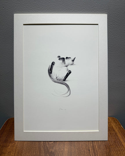 Art Print - "Siamese Cat - Belly Up" (2607P007)