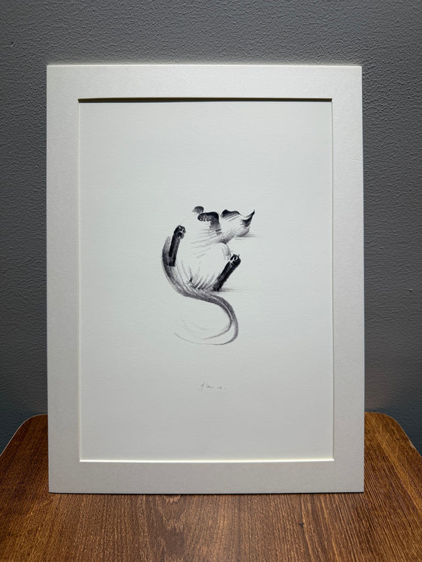 Art Print - "Siamese Cat - Belly Up" (2607P007)
