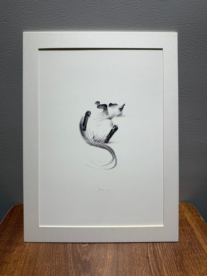 Art Print - "Siamese Cat - Belly Up" (2607P007)