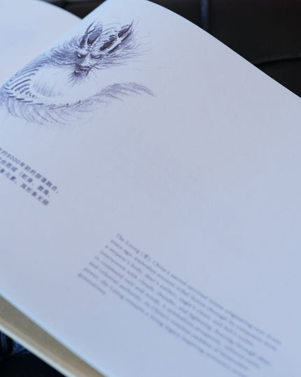 Sketching with ShouXin: A Practice Guide and Workbook