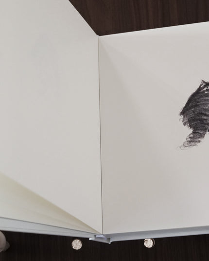 ShouXin’s Premium Collector’s Edition Art Book (Hand-Signed & Global Limited 100)