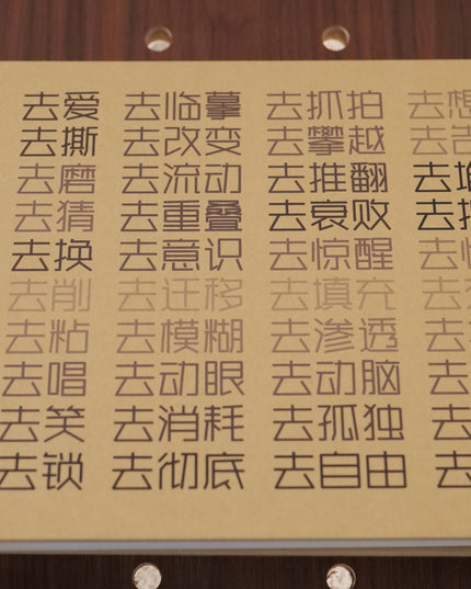 Sketching with ShouXin: A Practice Guide and Workbook