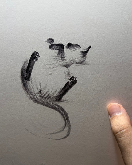 Art Print - "Siamese Cat - Belly Up" (2607P007)