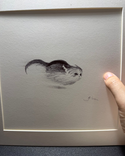 Dashing Kittens Series (Set of 4 Illustrations)