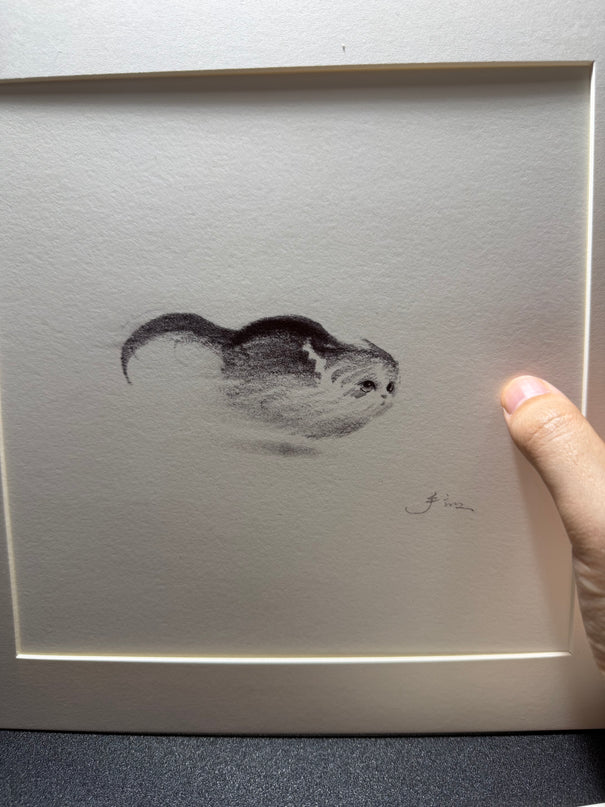 Dashing Kittens Series (Set of 4 Illustrations)