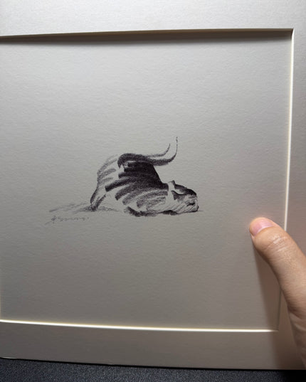 Dashing Kittens Series (Set of 4 Illustrations)