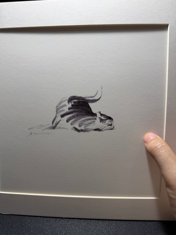 Dashing Kittens Series (Set of 4 Illustrations)