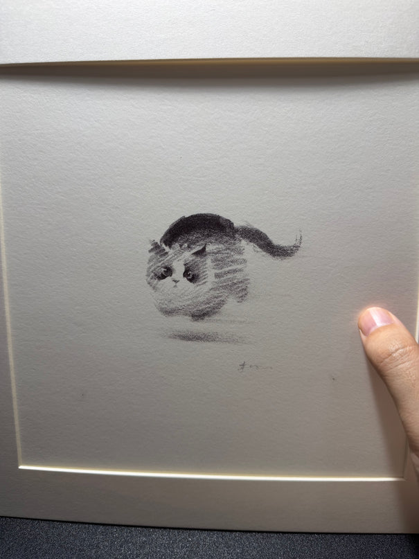 Dashing Kittens Series (Set of 4 Illustrations)