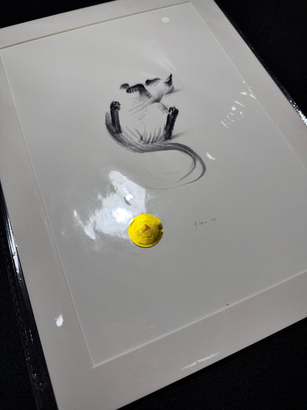 Art Print – "Siamese Cat — Belly Up" (2510P007)