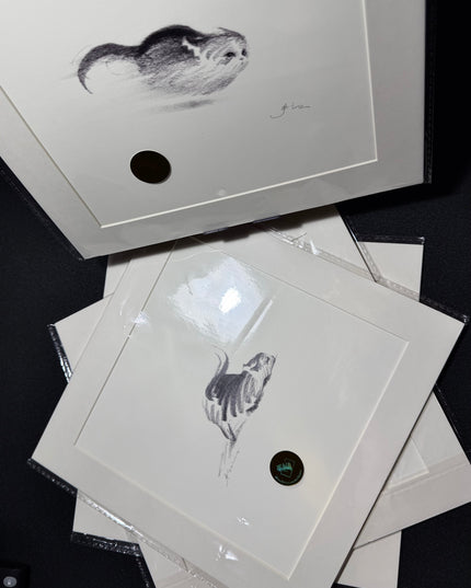 Dashing Kittens Series (Set of 4 Illustrations)