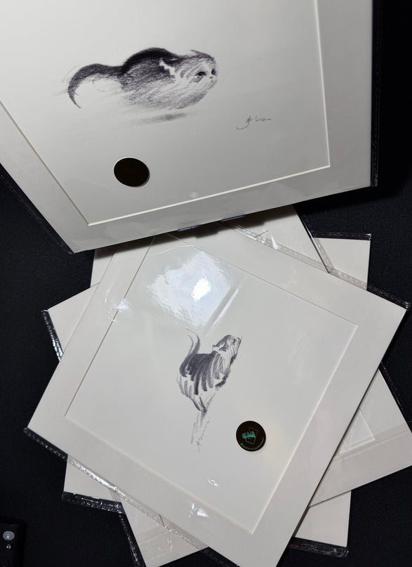 Dashing Kittens Series (Set of 4 Illustrations)