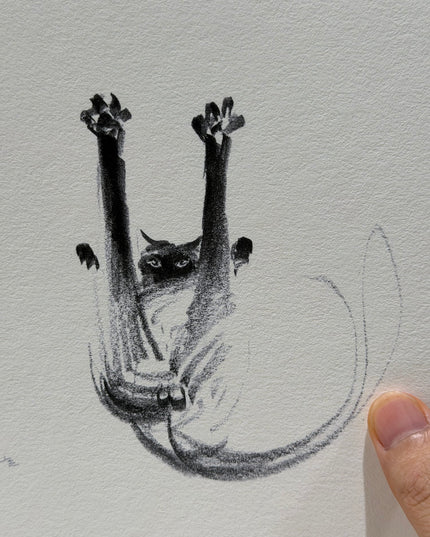 Art Print - "Paws in the Air" (2607P004)