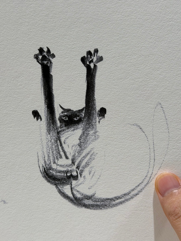 Art Print - "Paws in the Air" (2607P004)