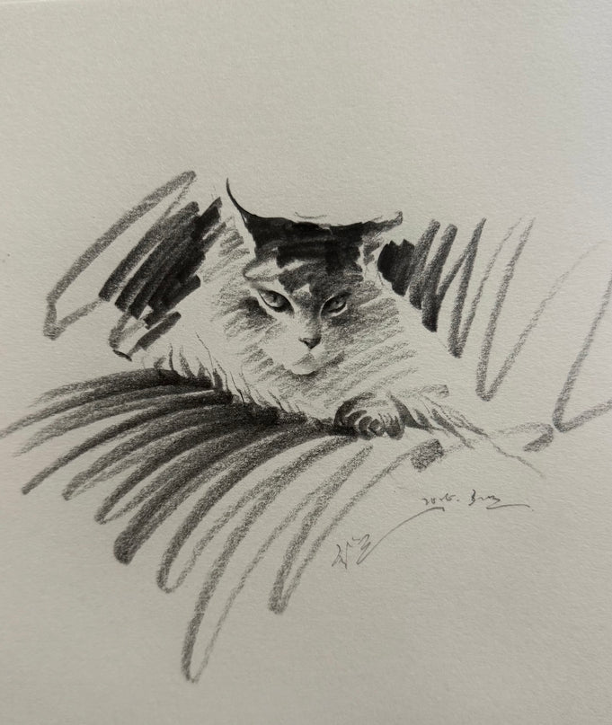 No. 001  "Maine Coon – No. 1"