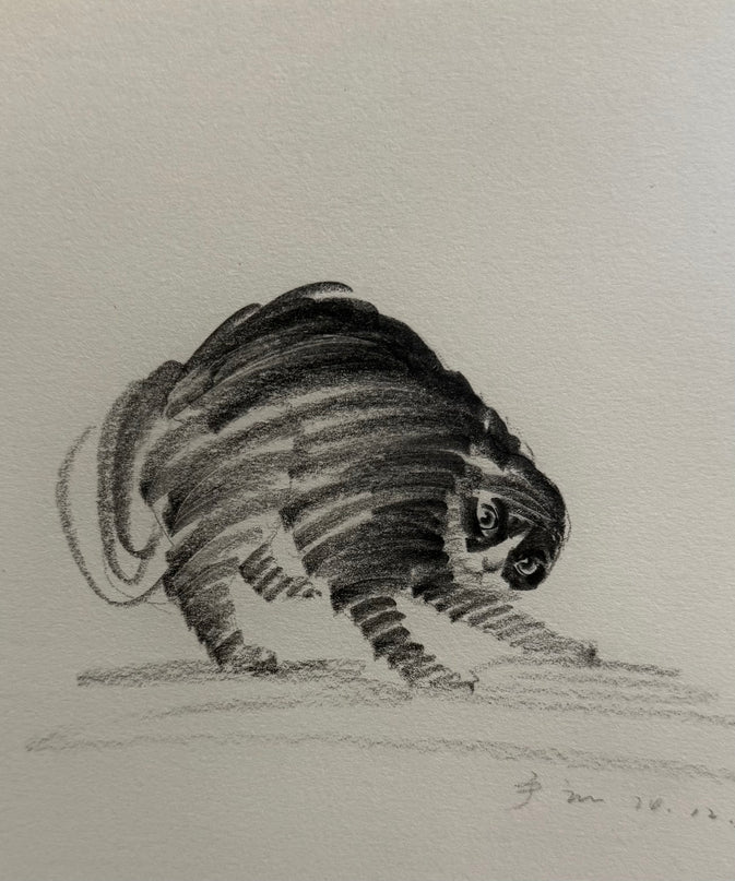 No. 003  "Black Cat Series – Tuxedo cat"